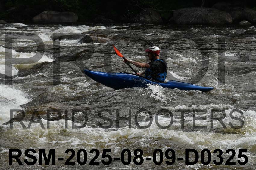 RSM-2025-08-09-D0325