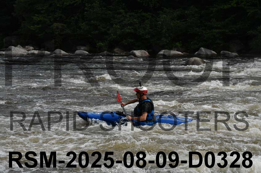 RSM-2025-08-09-D0328
