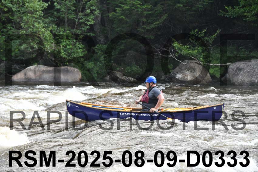 RSM-2025-08-09-D0333