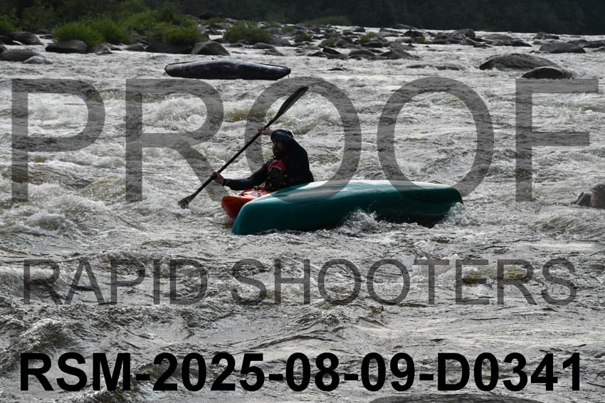 RSM-2025-08-09-D0341