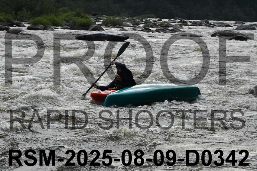 RSM-2025-08-09-D0342