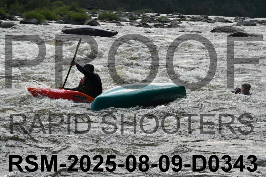 RSM-2025-08-09-D0343