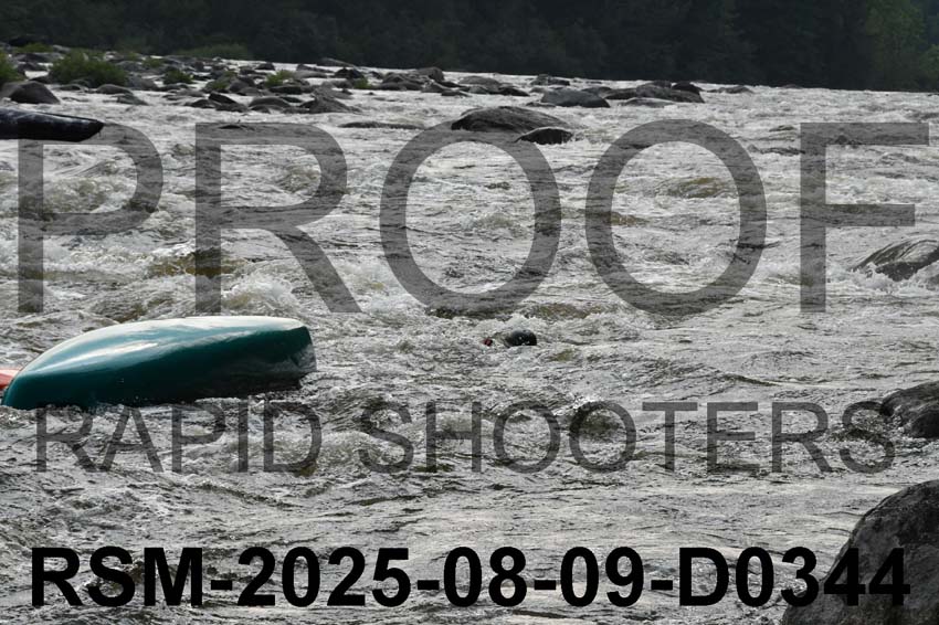 RSM-2025-08-09-D0344
