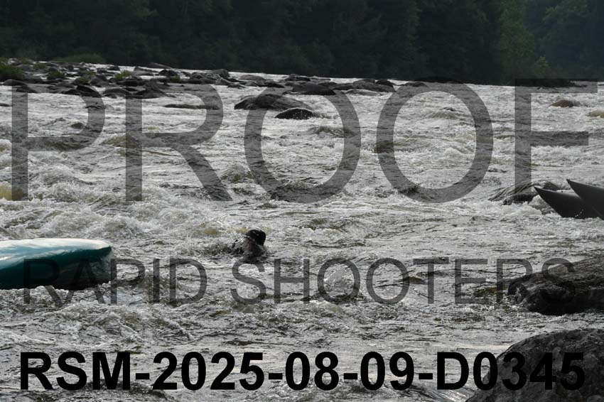RSM-2025-08-09-D0345