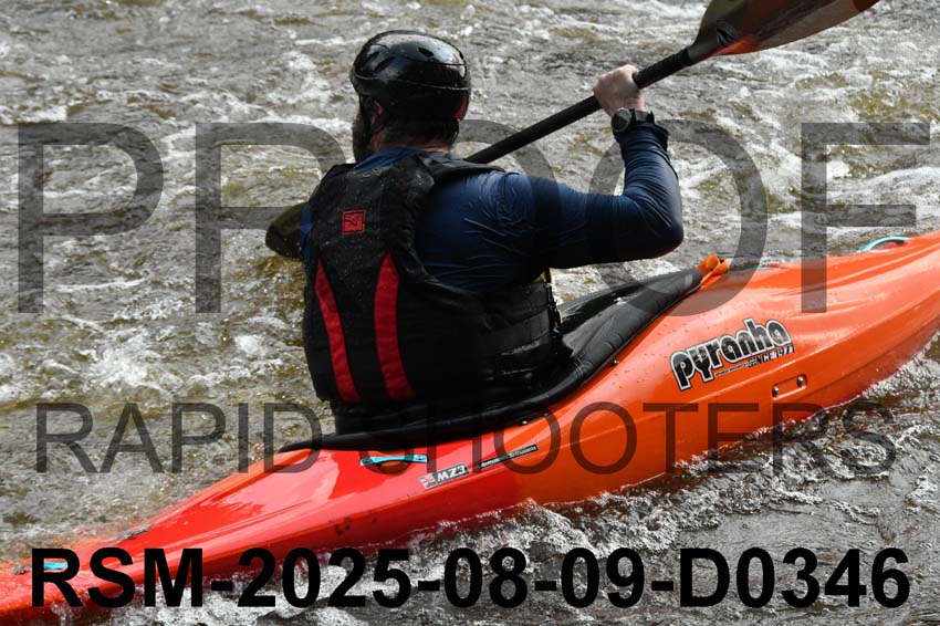 RSM-2025-08-09-D0346