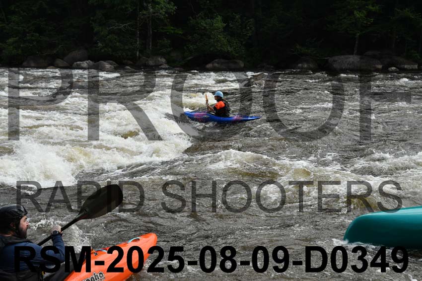 RSM-2025-08-09-D0349