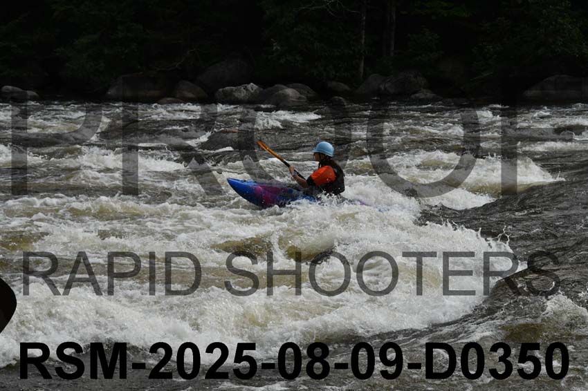 RSM-2025-08-09-D0350
