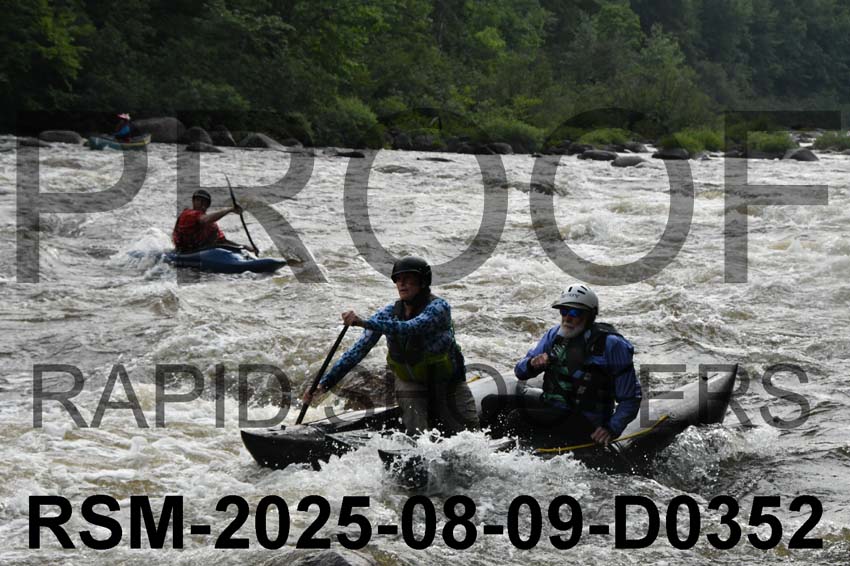 RSM-2025-08-09-D0352
