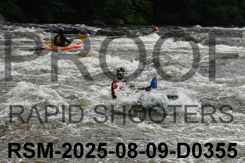 RSM-2025-08-09-D0355