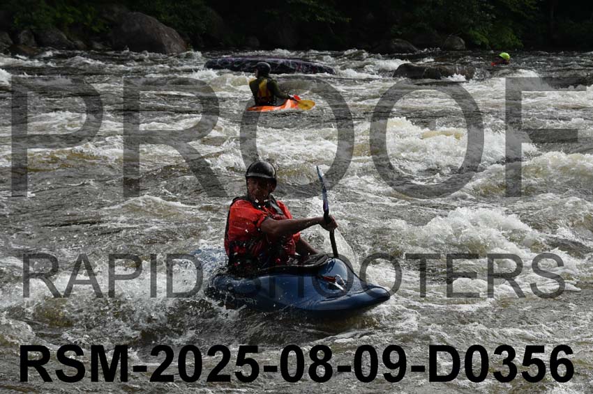 RSM-2025-08-09-D0356