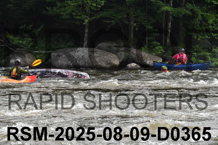 RSM-2025-08-09-D0365