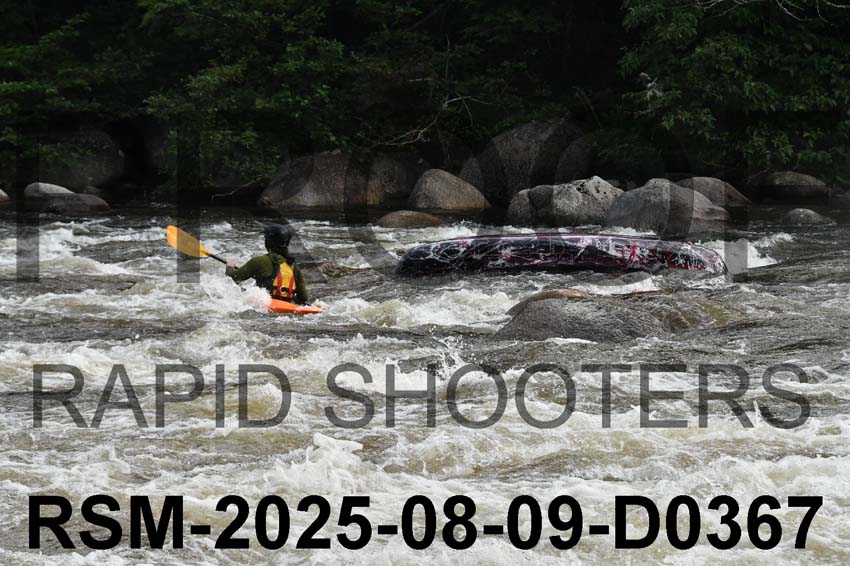RSM-2025-08-09-D0367