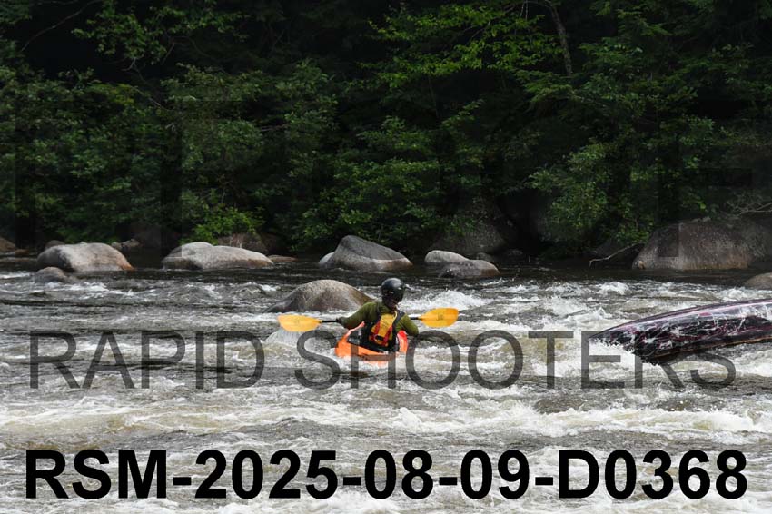 RSM-2025-08-09-D0368