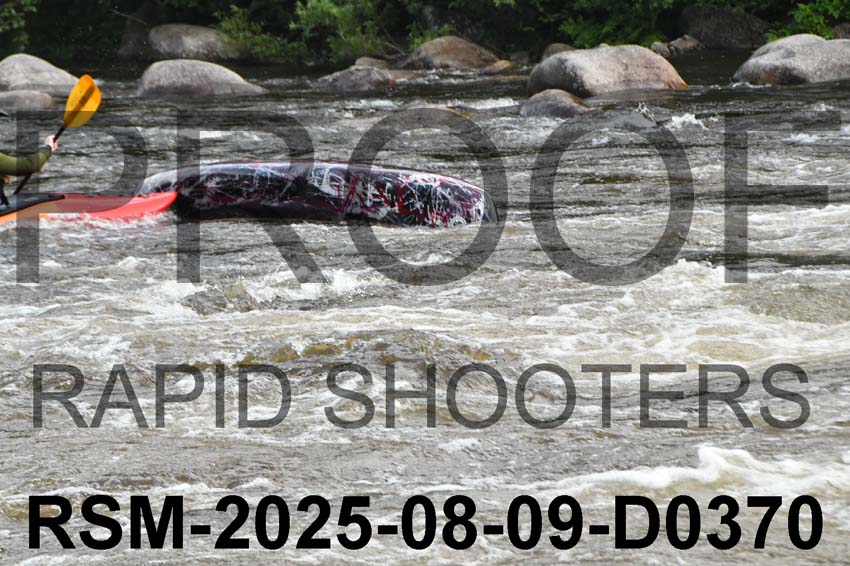 RSM-2025-08-09-D0370