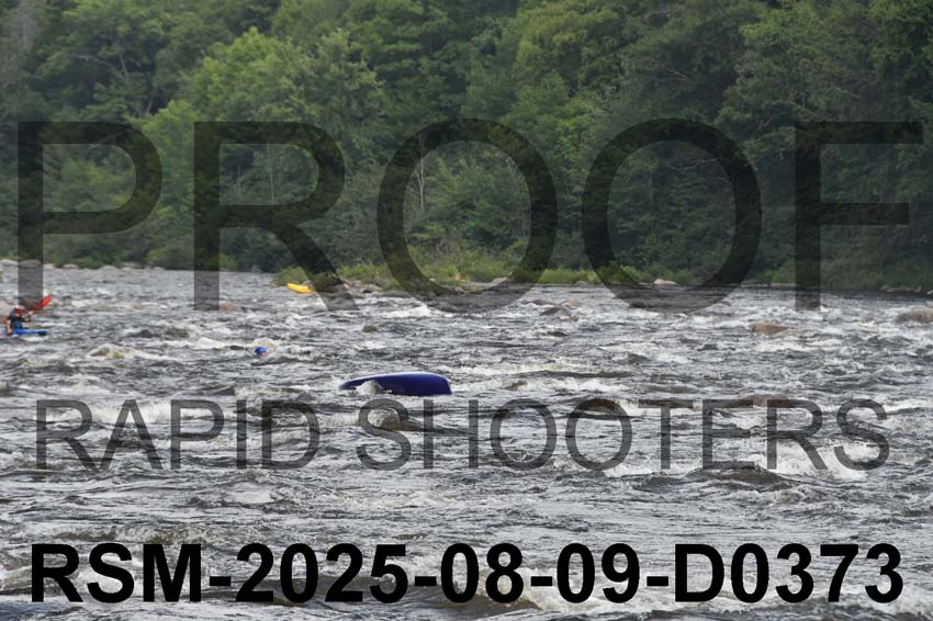 RSM-2025-08-09-D0373