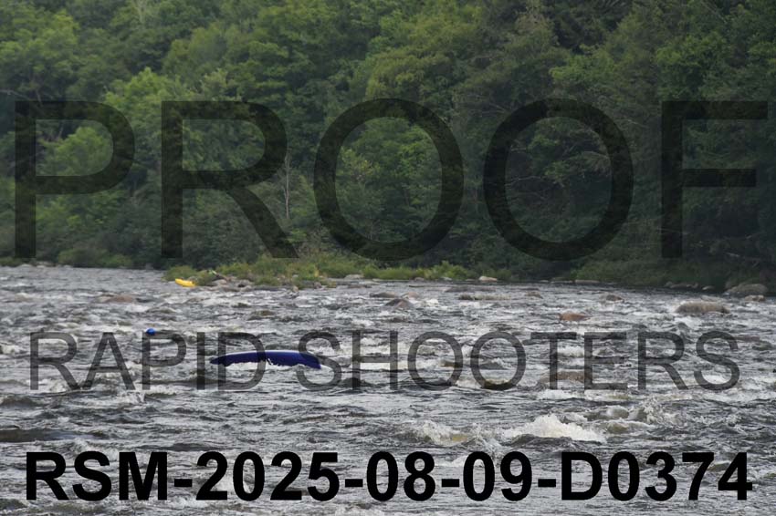 RSM-2025-08-09-D0374
