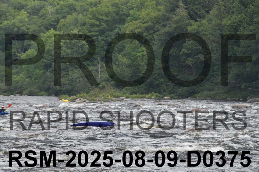 RSM-2025-08-09-D0375