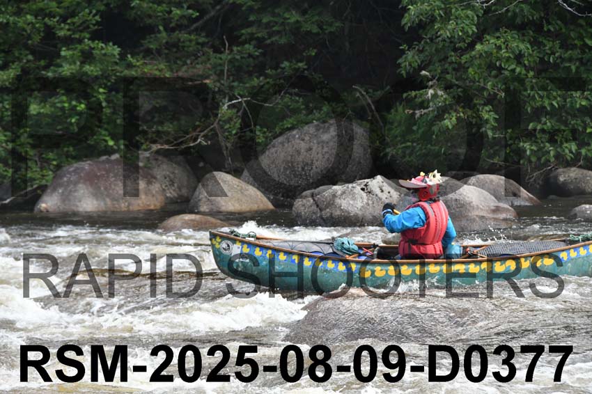RSM-2025-08-09-D0377