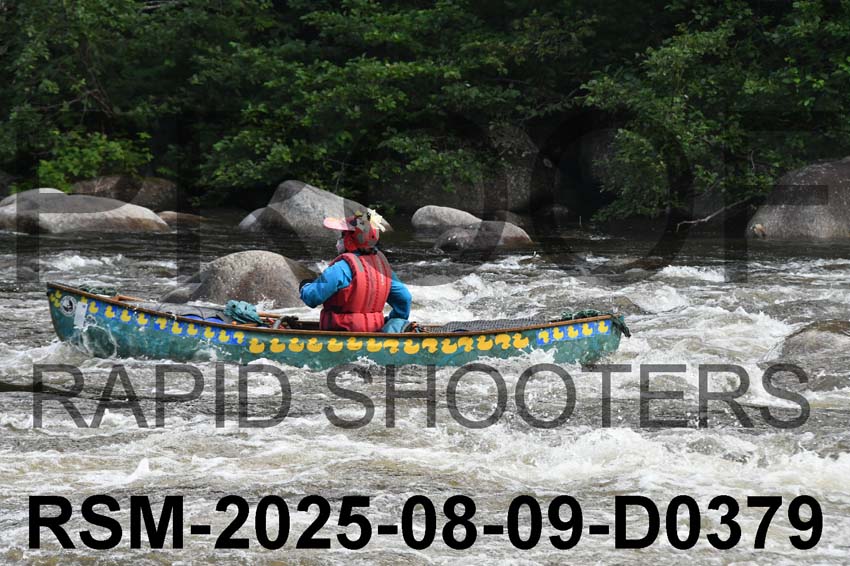 RSM-2025-08-09-D0379