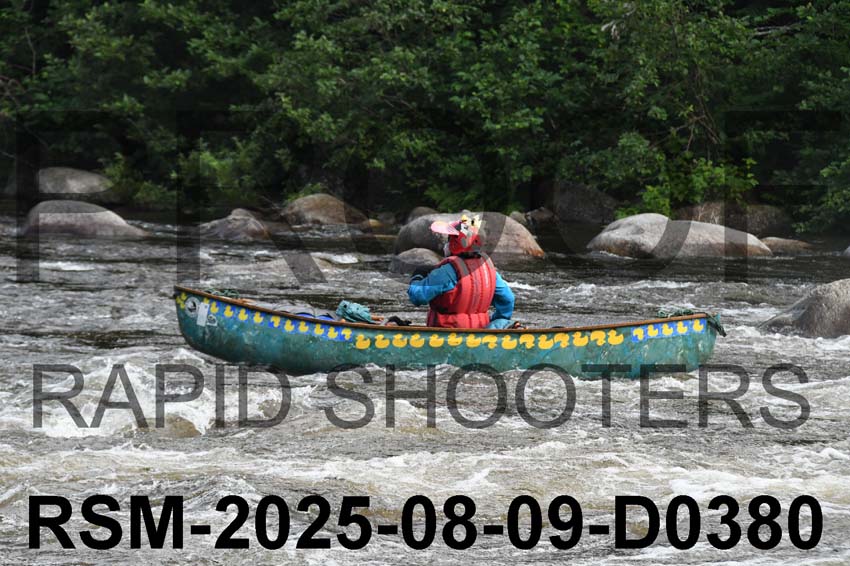 RSM-2025-08-09-D0380