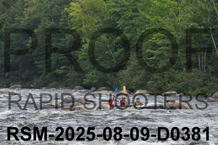 RSM-2025-08-09-D0381