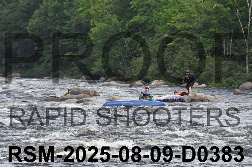 RSM-2025-08-09-D0383