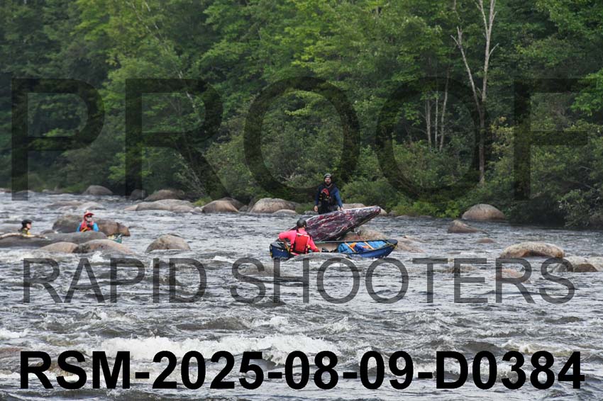 RSM-2025-08-09-D0384