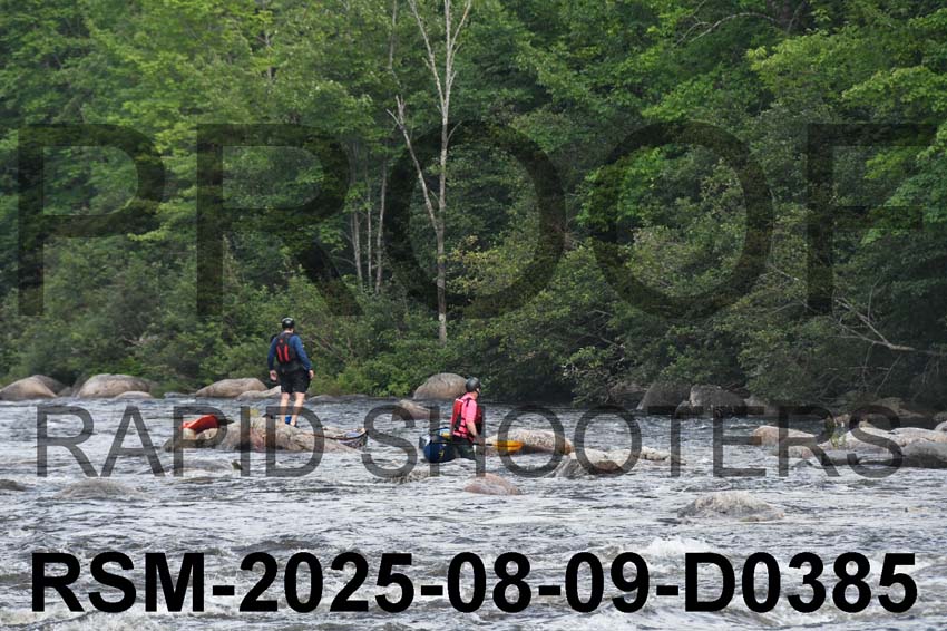 RSM-2025-08-09-D0385