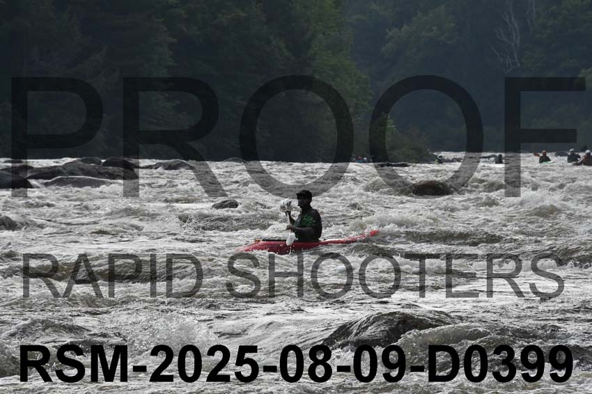 RSM-2025-08-09-D0399