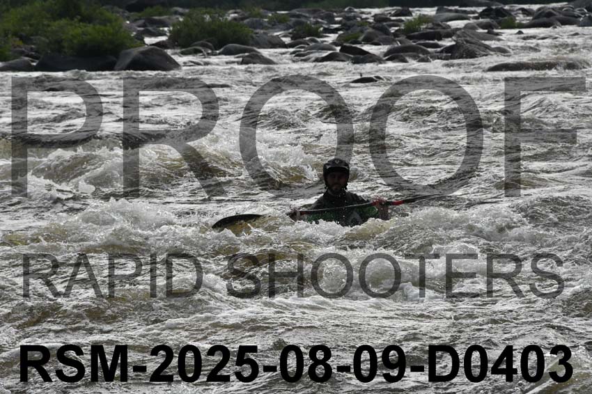 RSM-2025-08-09-D0403