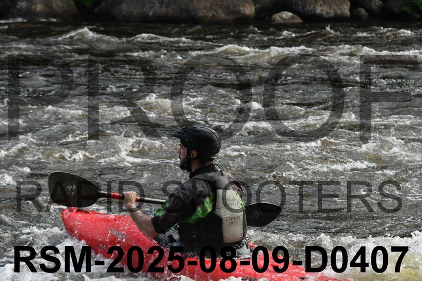 RSM-2025-08-09-D0407