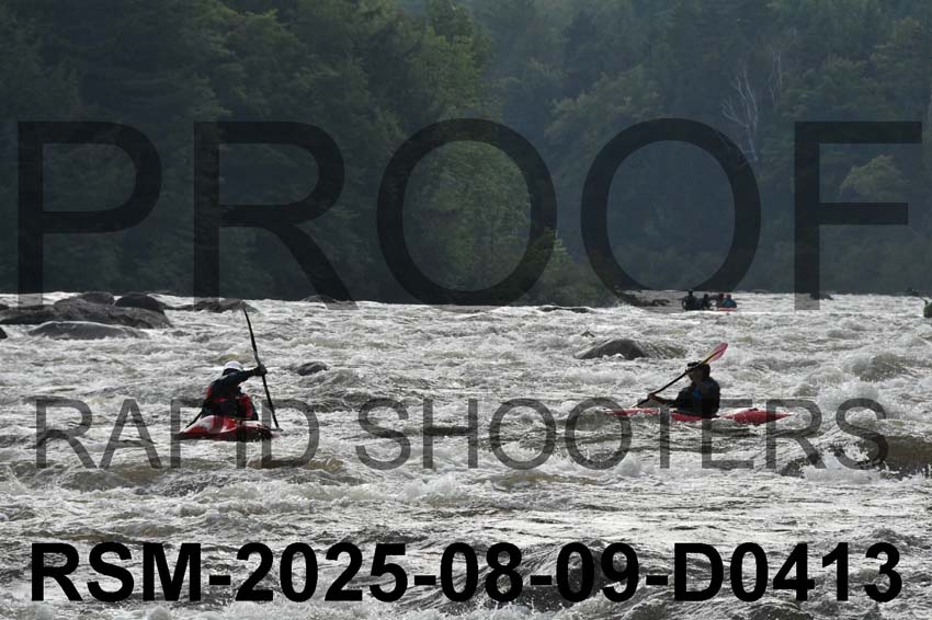 RSM-2025-08-09-D0413