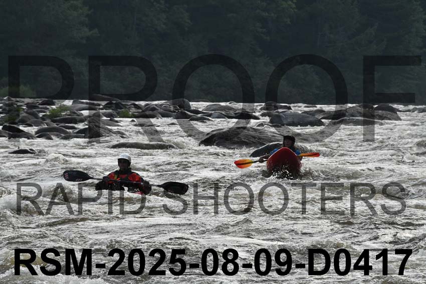 RSM-2025-08-09-D0417