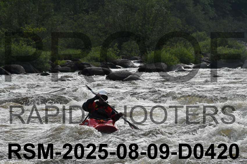 RSM-2025-08-09-D0420