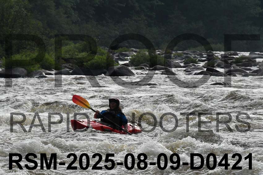 RSM-2025-08-09-D0421