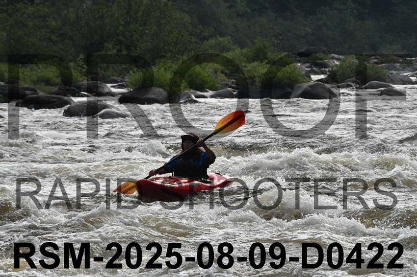 RSM-2025-08-09-D0422