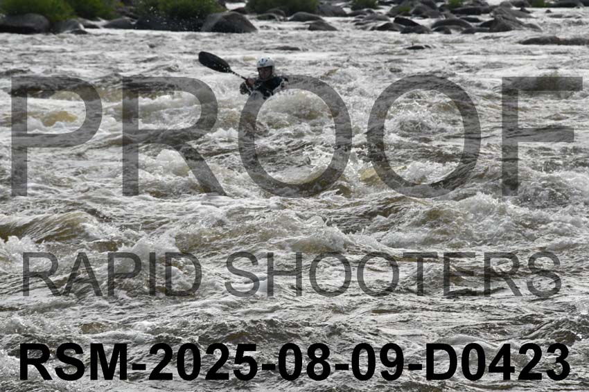 RSM-2025-08-09-D0423