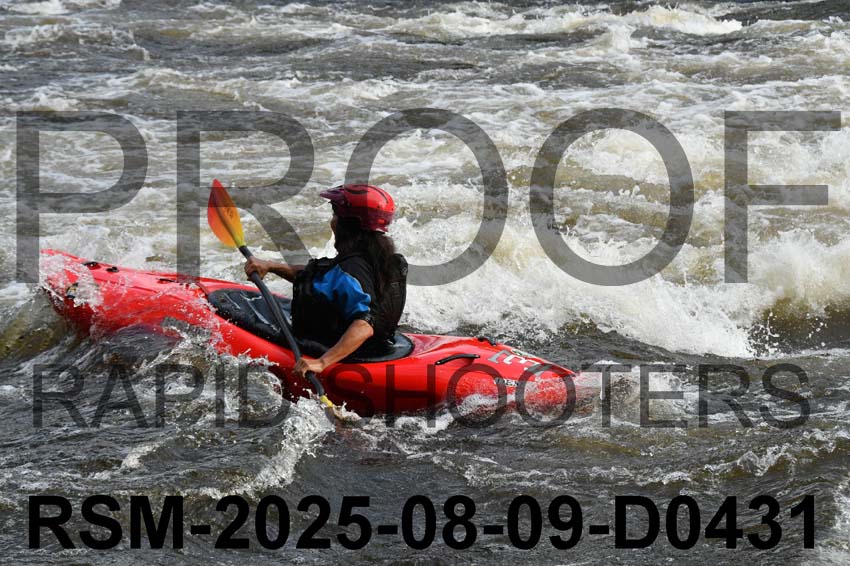 RSM-2025-08-09-D0431