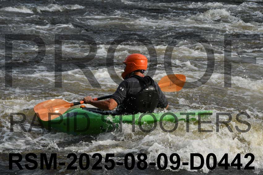 RSM-2025-08-09-D0442