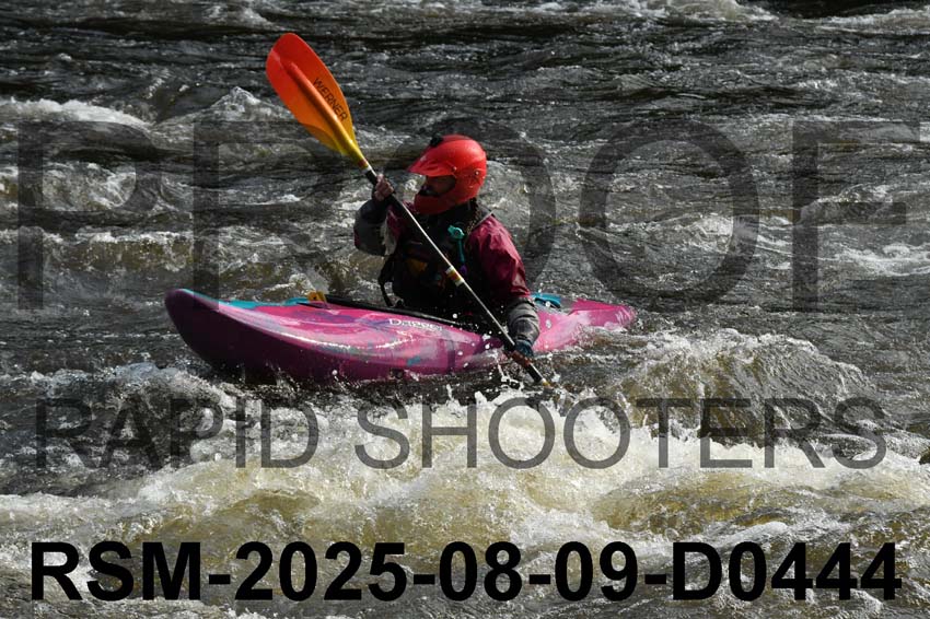 RSM-2025-08-09-D0444