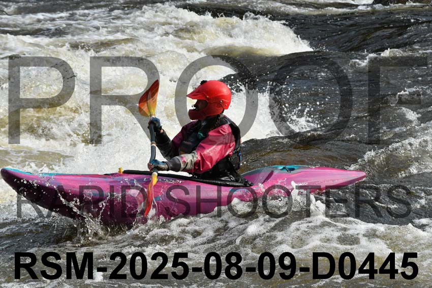 RSM-2025-08-09-D0445