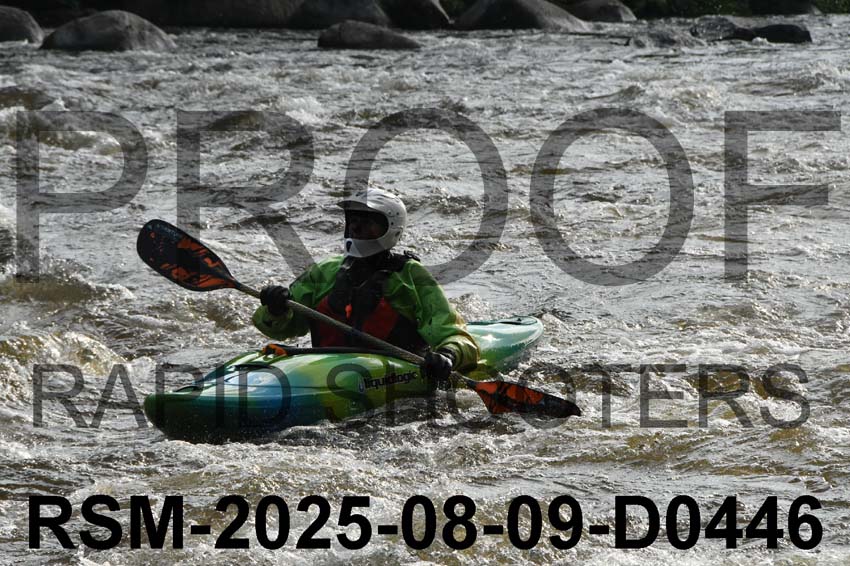RSM-2025-08-09-D0446