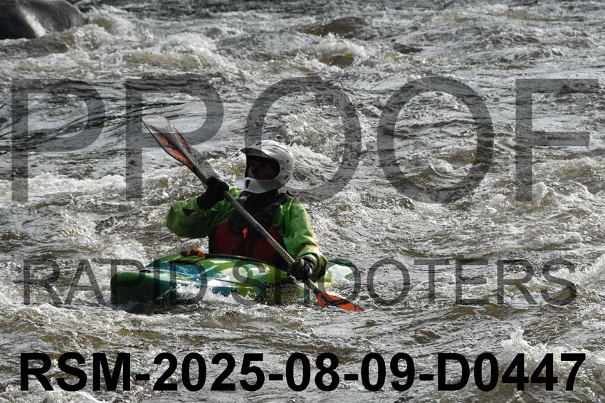 RSM-2025-08-09-D0447