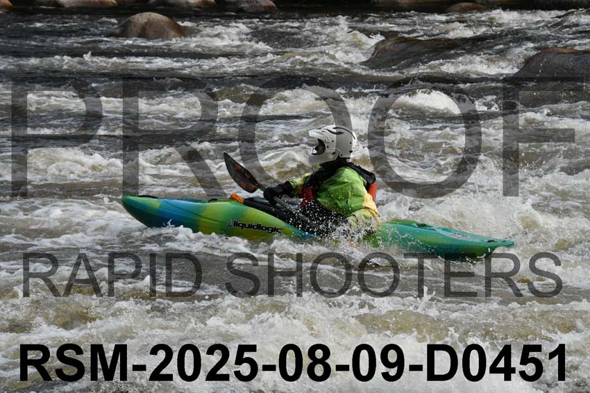 RSM-2025-08-09-D0451