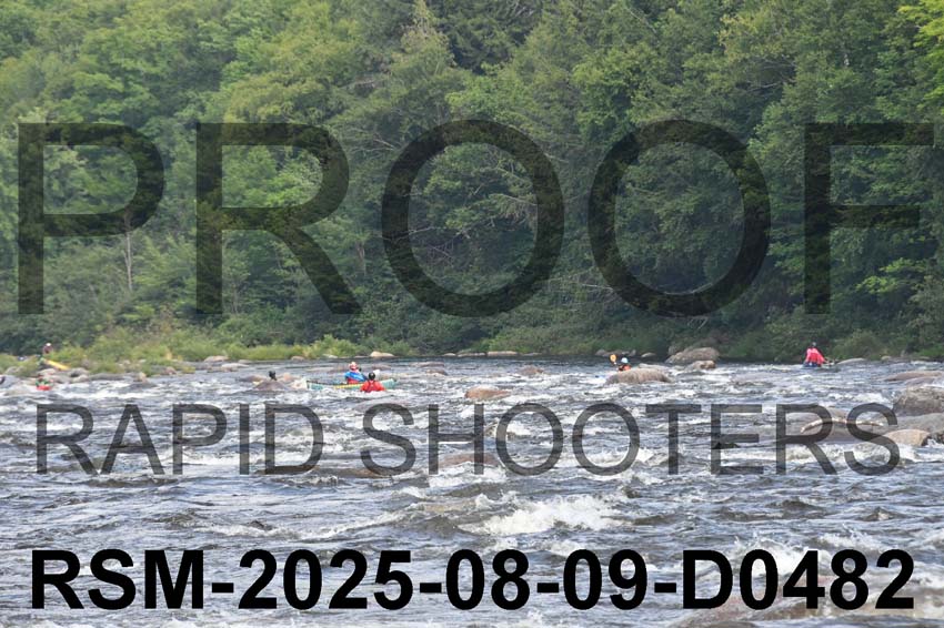 RSM-2025-08-09-D0482