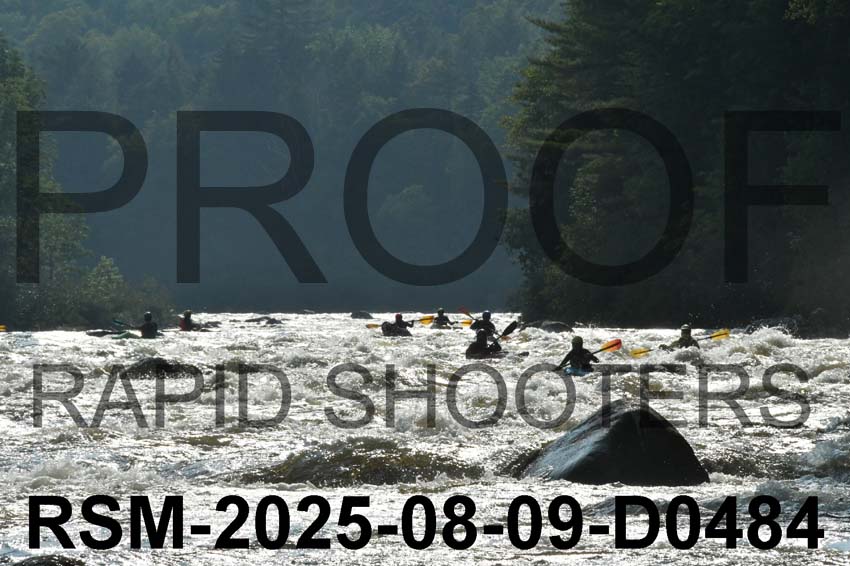 RSM-2025-08-09-D0484
