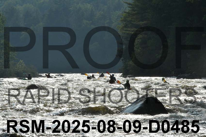 RSM-2025-08-09-D0485