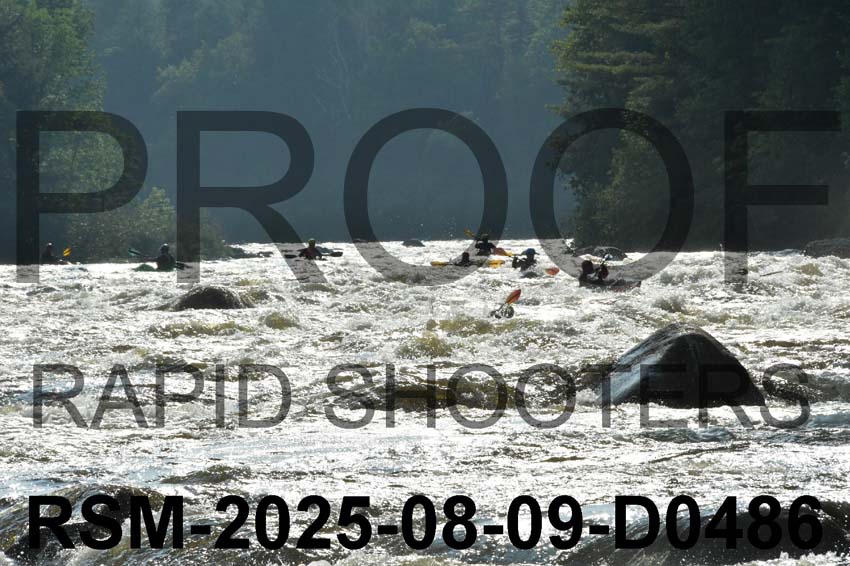 RSM-2025-08-09-D0486