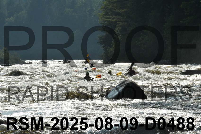 RSM-2025-08-09-D0488