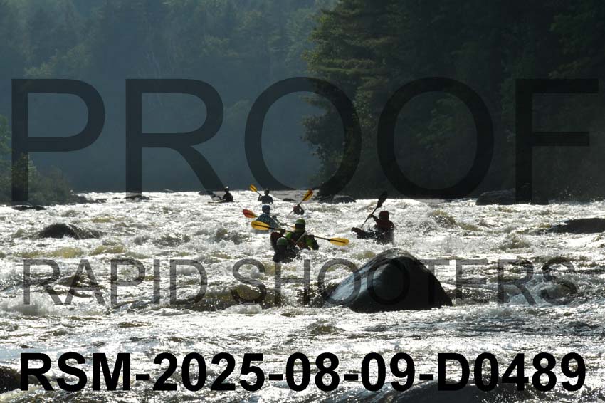 RSM-2025-08-09-D0489